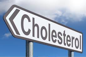 Cholesterol zdraví