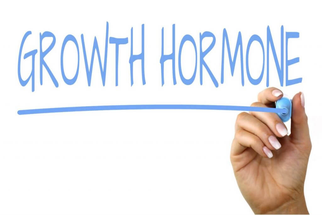 Growth hormone růstový hormon
